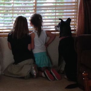 Meet your Posher, Allison